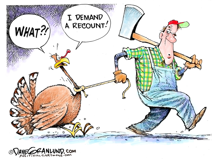 November recount