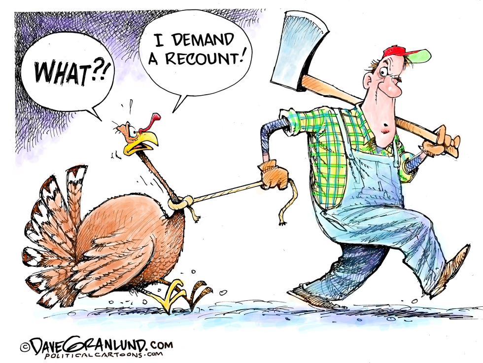 November recount