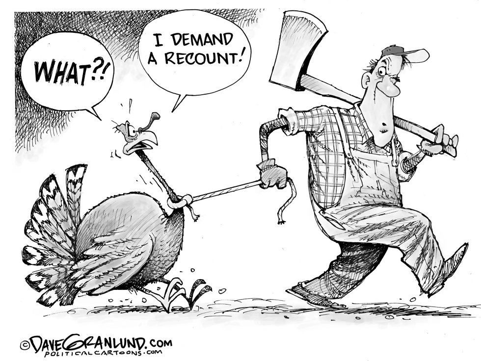 November recount