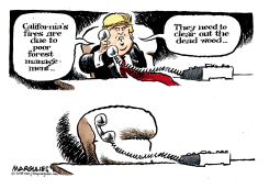 TRUMP AND CALIFORNIA FIRES by Jimmy Margulies