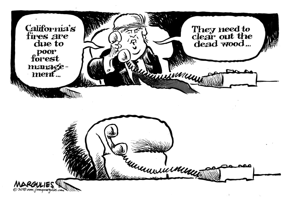 Trump and California Fires