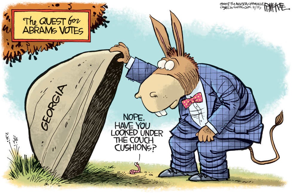 GEORGIA Abrams Votes Under Rock