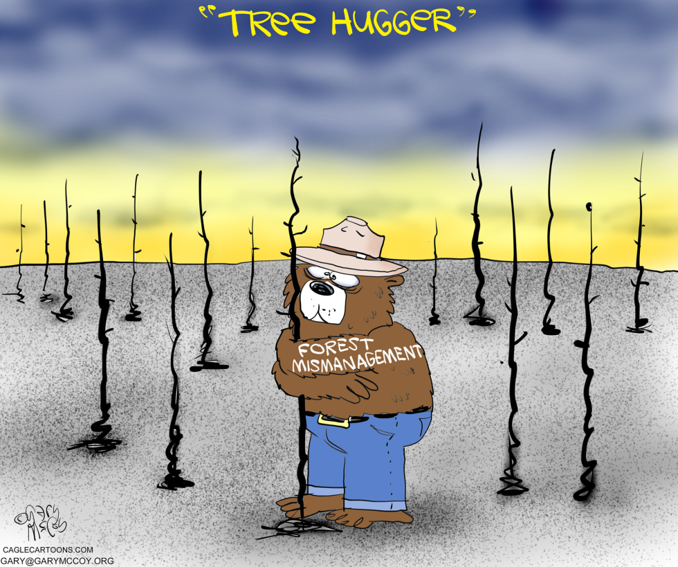 Smokey's Forest Fires