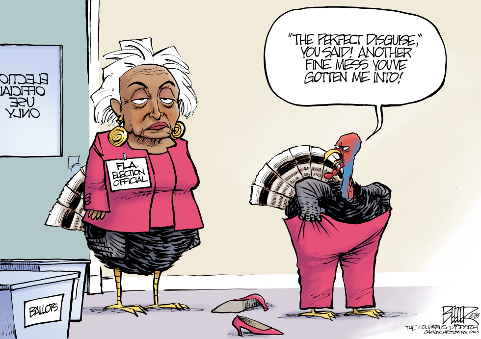 Florida Turkeys