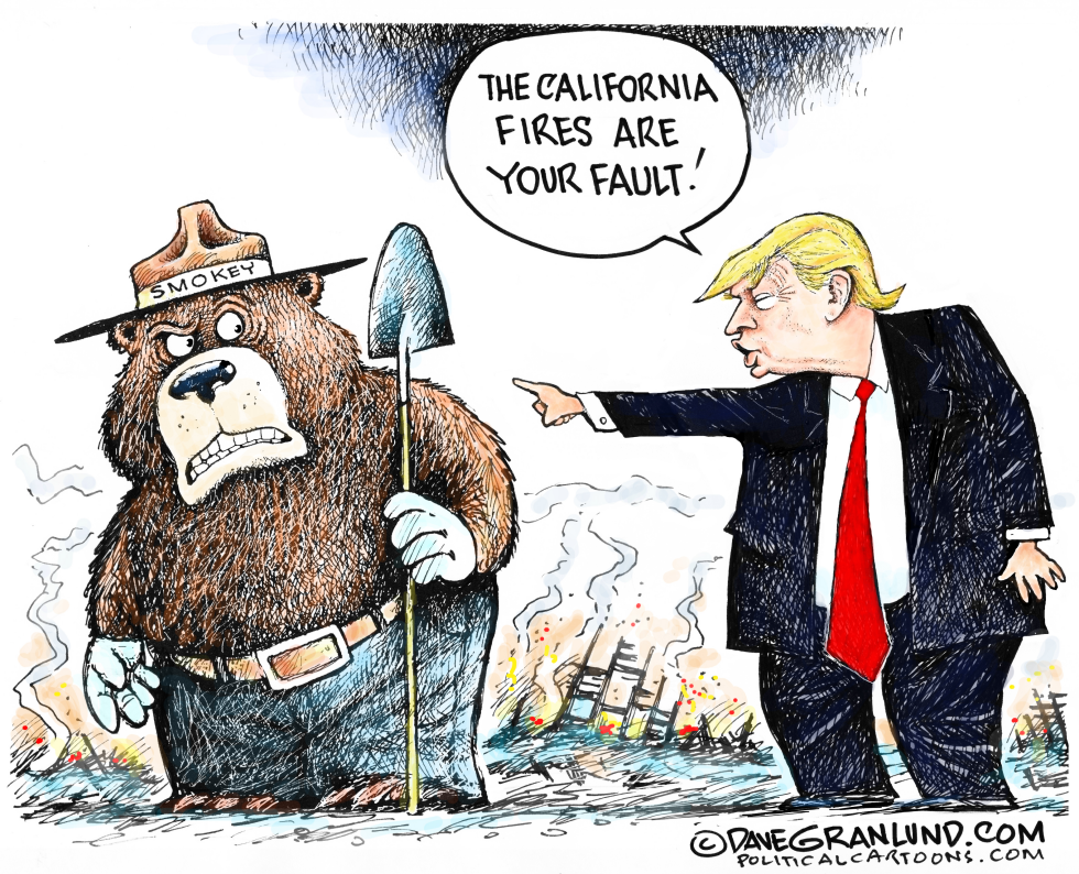 California fires blame