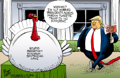 TRUMP AND TURKEY PARDONS by Bruce Plante