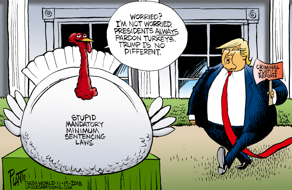 Trump and Turkey Pardons
