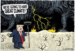 GREAT CLIMATE by Monte Wolverton