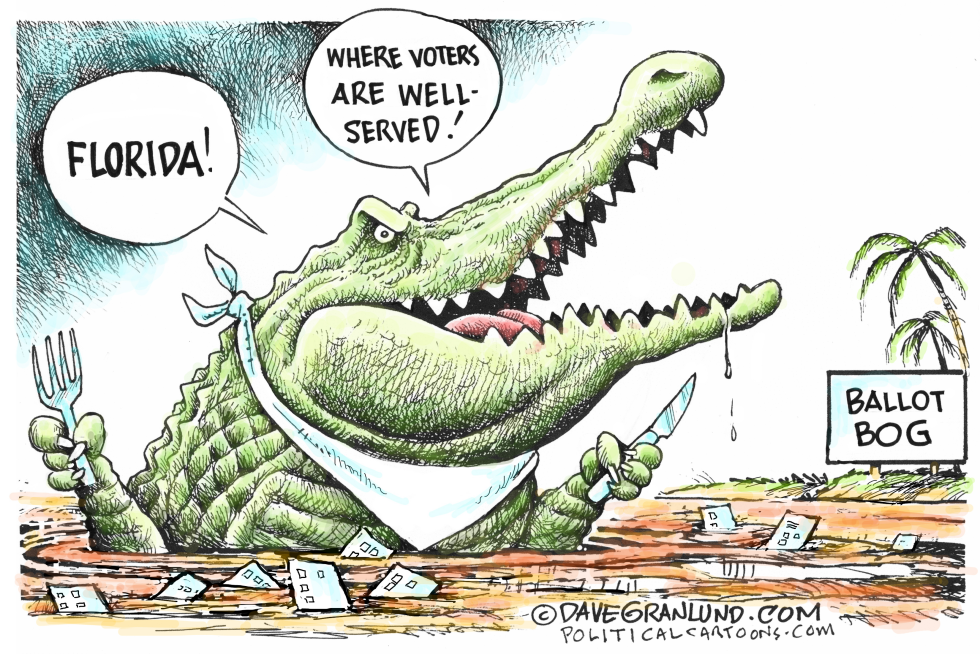 Florida election chaos