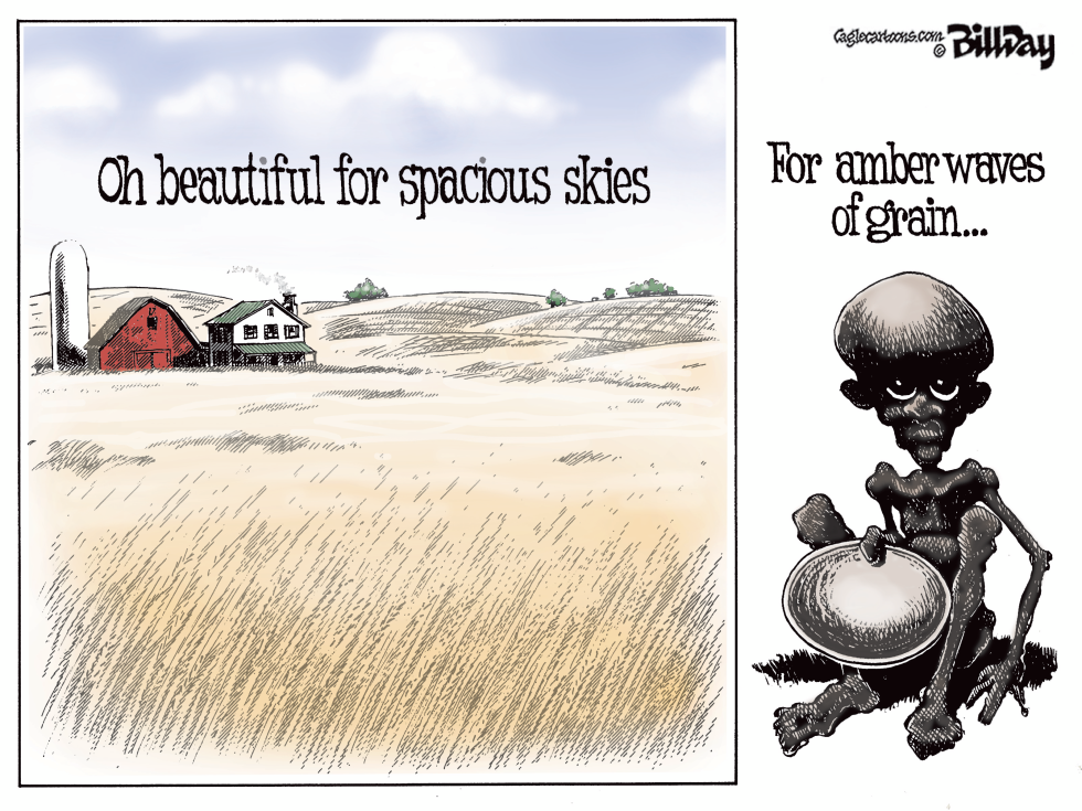 Amber Waves of Grain