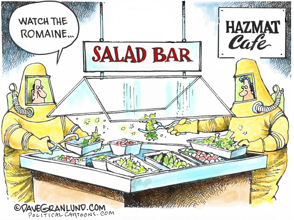 Romaine lettuce Ecoli