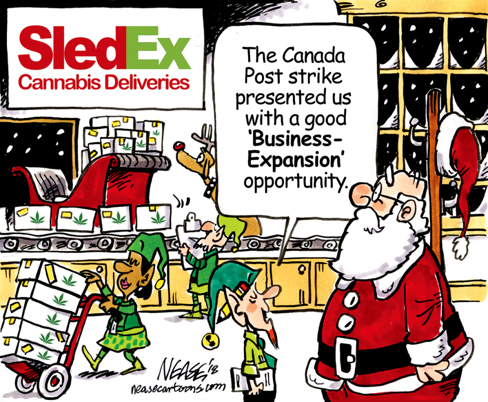 Sled Ex