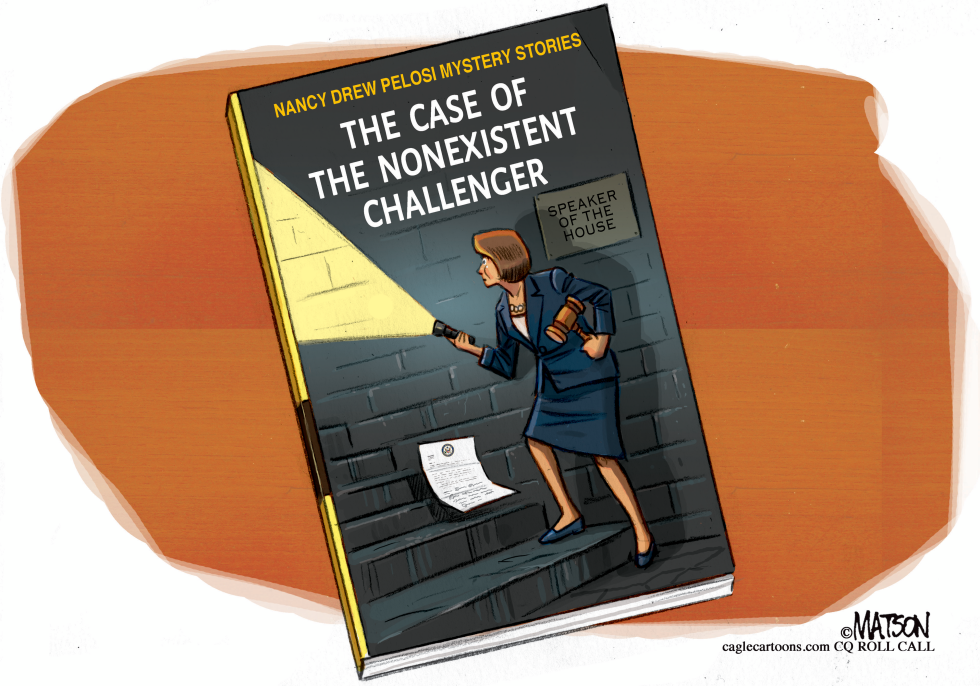 Nancy Drew Pelosi Mystery