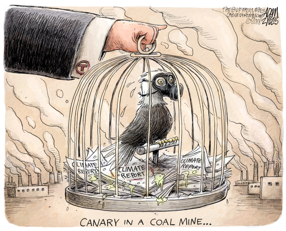 Climate change report