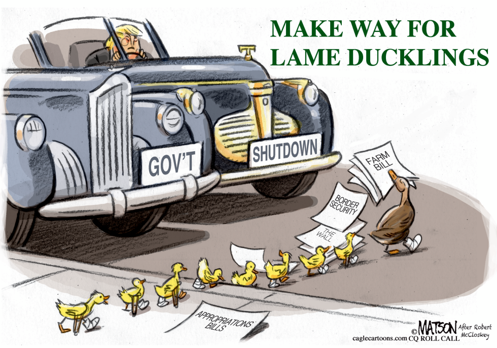  LAME DUCK CONGRESS by RJ Matson