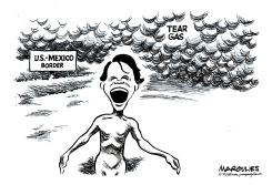TEAR GAS AT THE BORDER by Jimmy Margulies