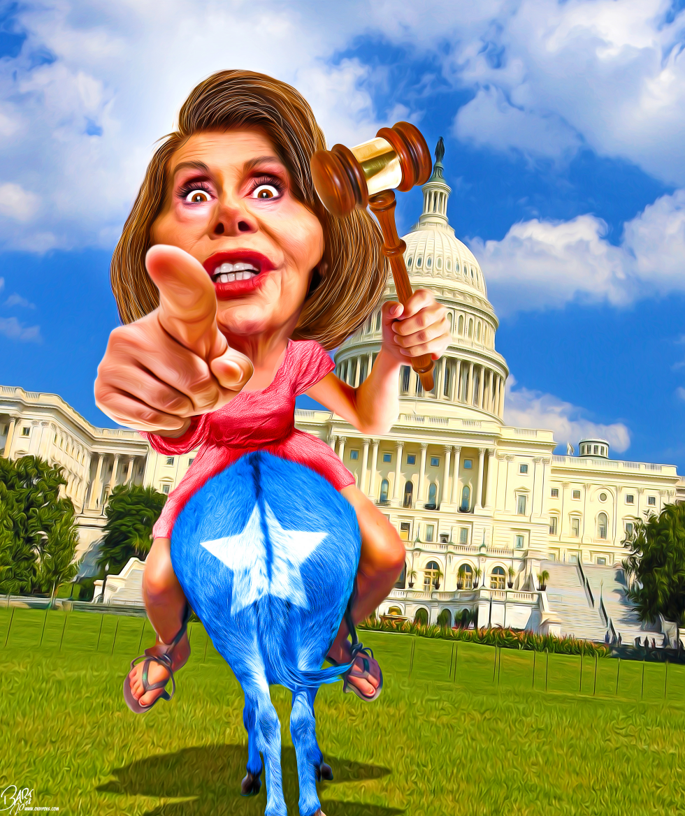  FORWARD PELOSI by Bart van Leeuwen