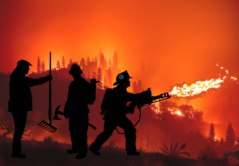 Forests Mismanagement
