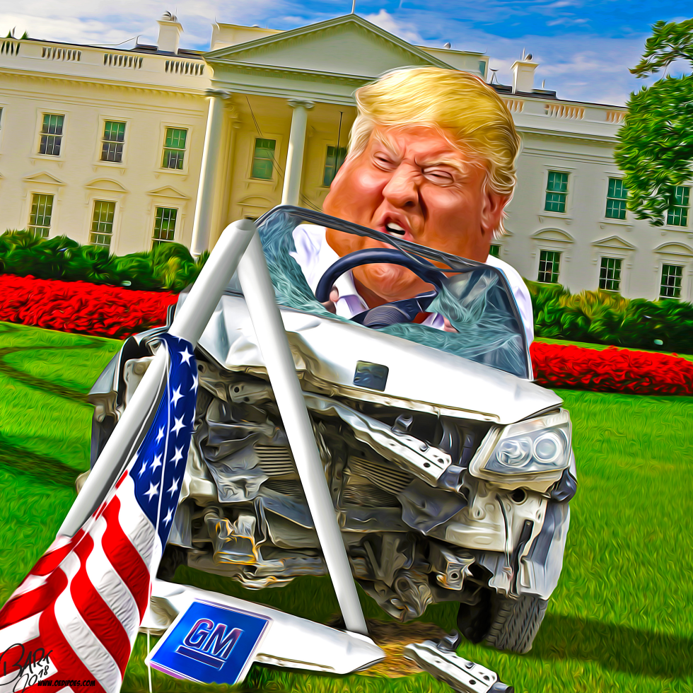 Reckless driver