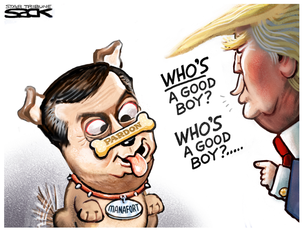  TRUMP TREAT by Steve Sack