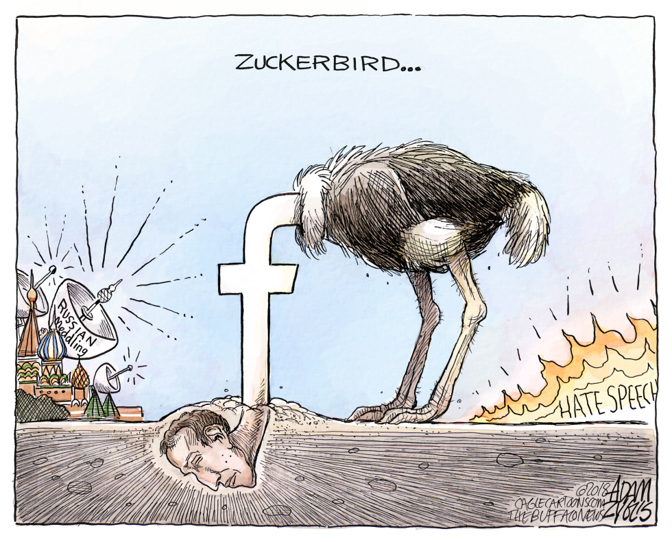  FACEBOOK ACCOUNTABILITY by Adam Zyglis