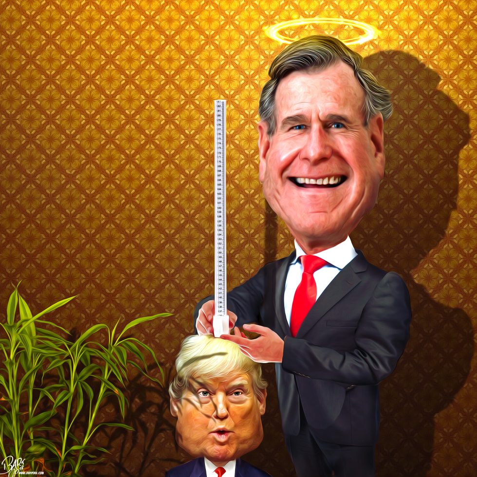 Political Yardstick Bush