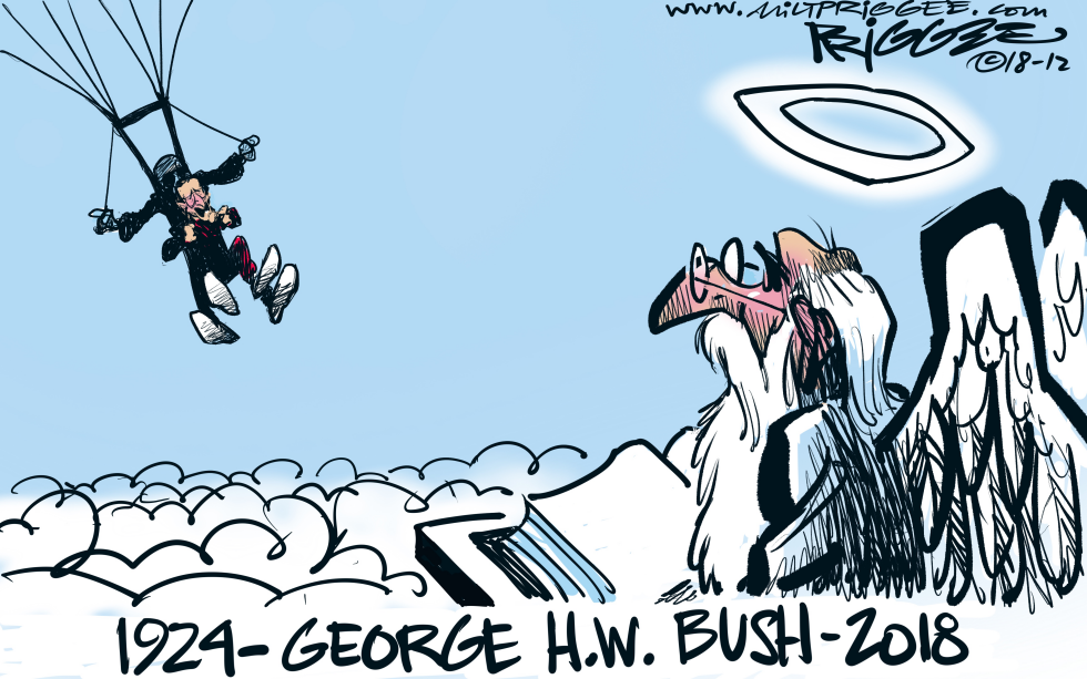 BushRIP