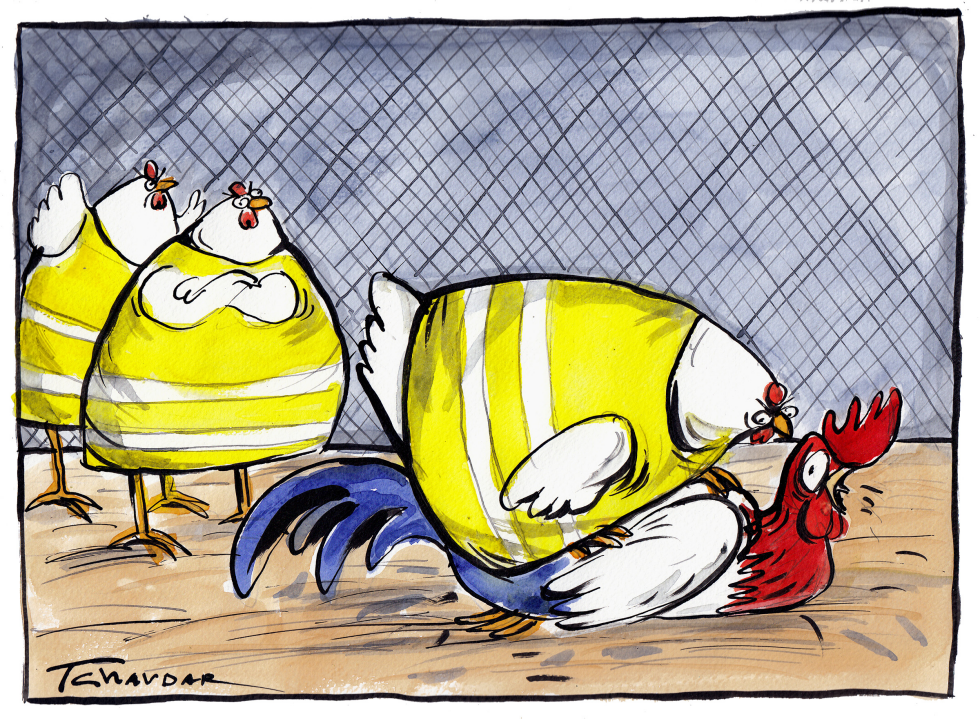 yellow vests
