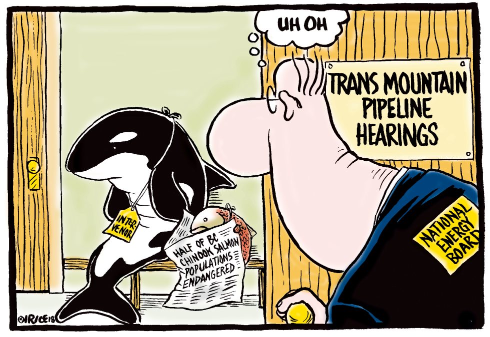Trans Mountain Pipeline Hearings