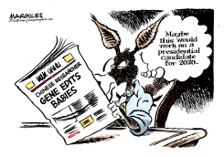 2020 DEMOCRATIC PRESIDENTIAL CANDIDATE by Jimmy Margulies