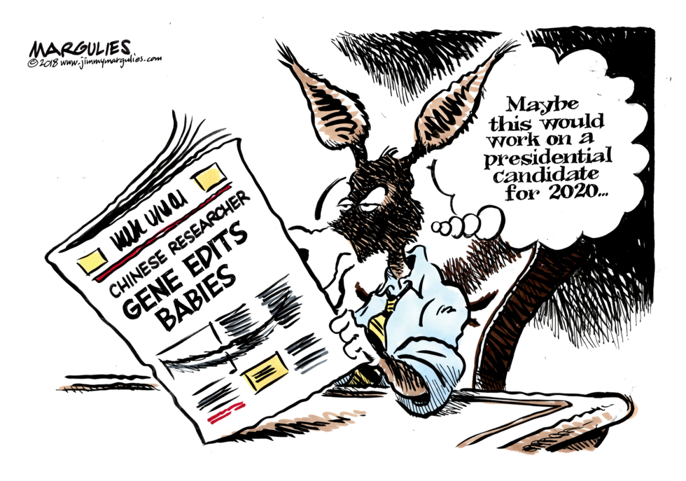  2020 DEMOCRATIC PRESIDENTIAL CANDIDATE by Jimmy Margulies