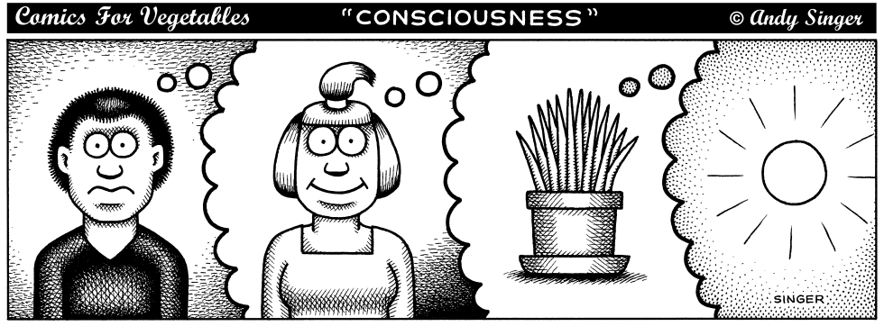 Comics for Veges on consciousness