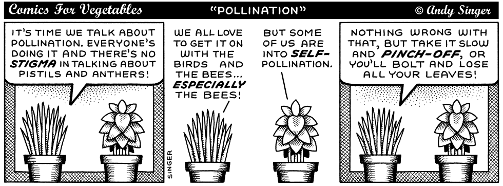 Comics for Veges talk about pollination