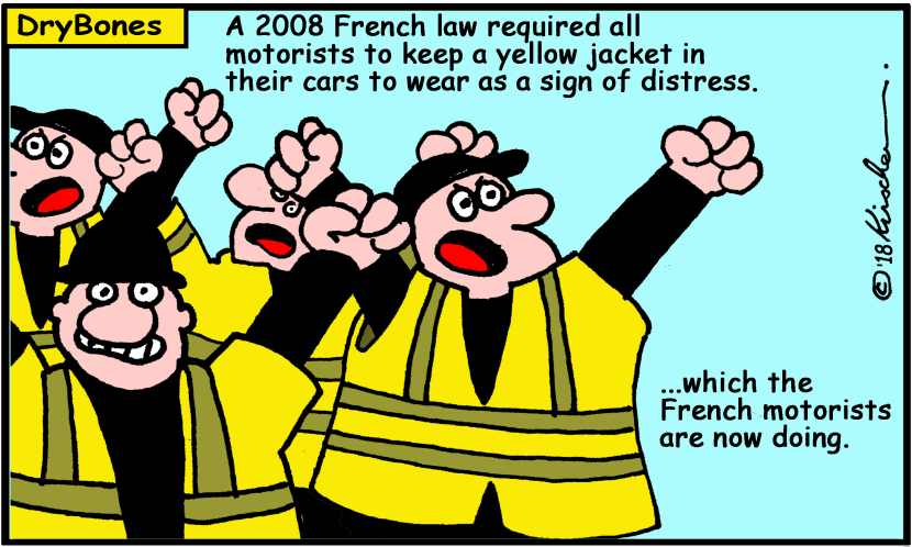 Yellow Jackets