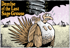 SAGE GROUSE MURDER by Monte Wolverton