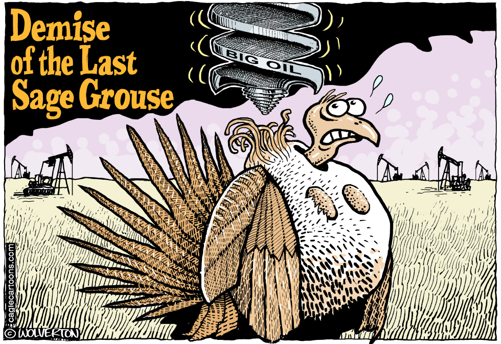  SAGE GROUSE MURDER by Wolverton