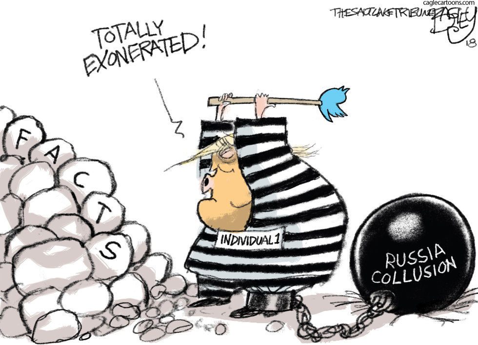  HARD MUELLER FACTS by Pat Bagley