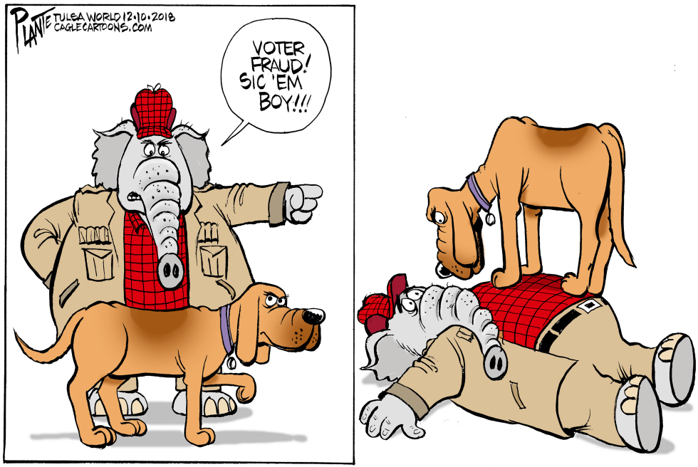 Hunt for Voter Fraud