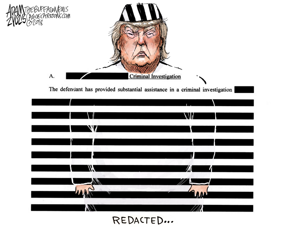  FEDERAL COURT FILINGS by Adam Zyglis