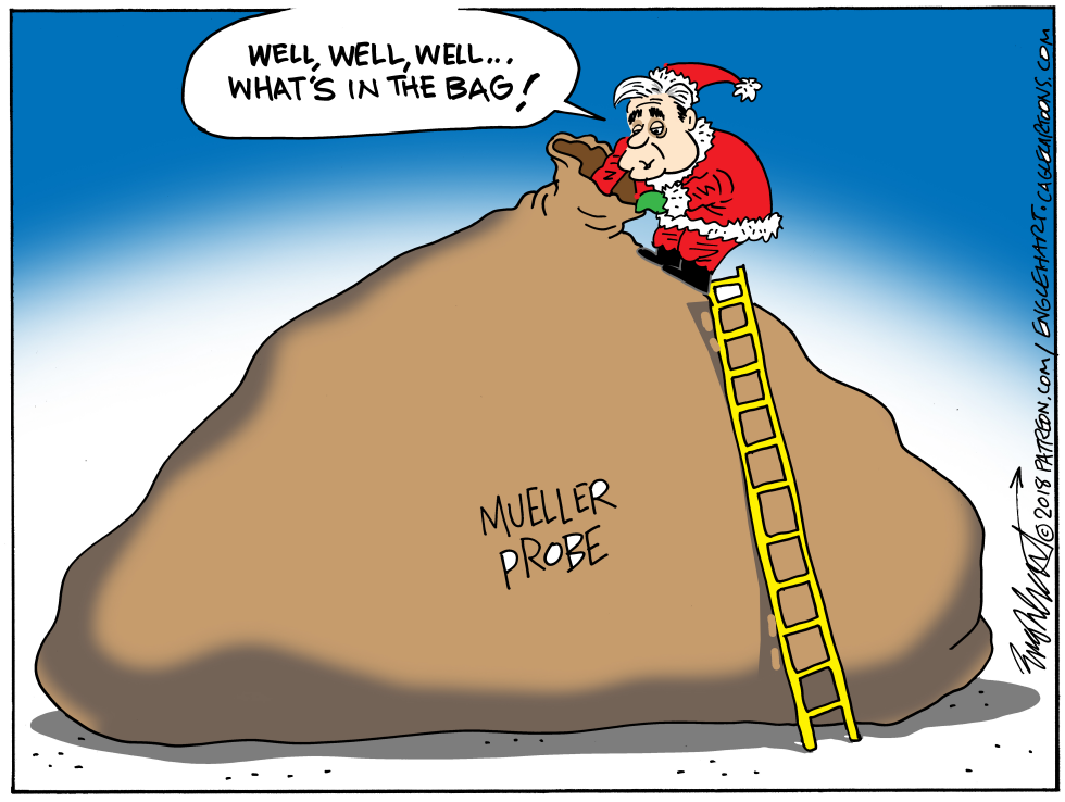  MUELLER INVESTIGATION by Bob Englehart