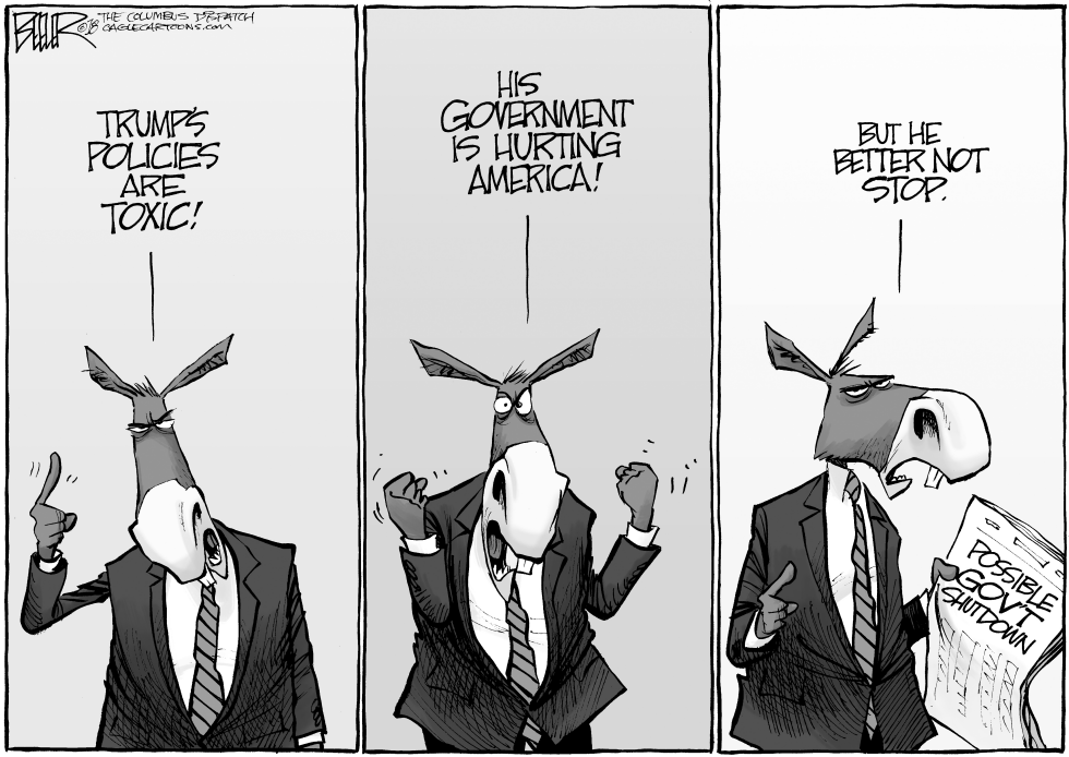 Government Shutdown
