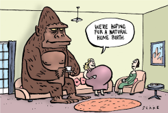 KING KONG SETTLES DOWN by Chris Slane