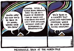 BACK AT THE NORTH POLE by Ingrid Rice