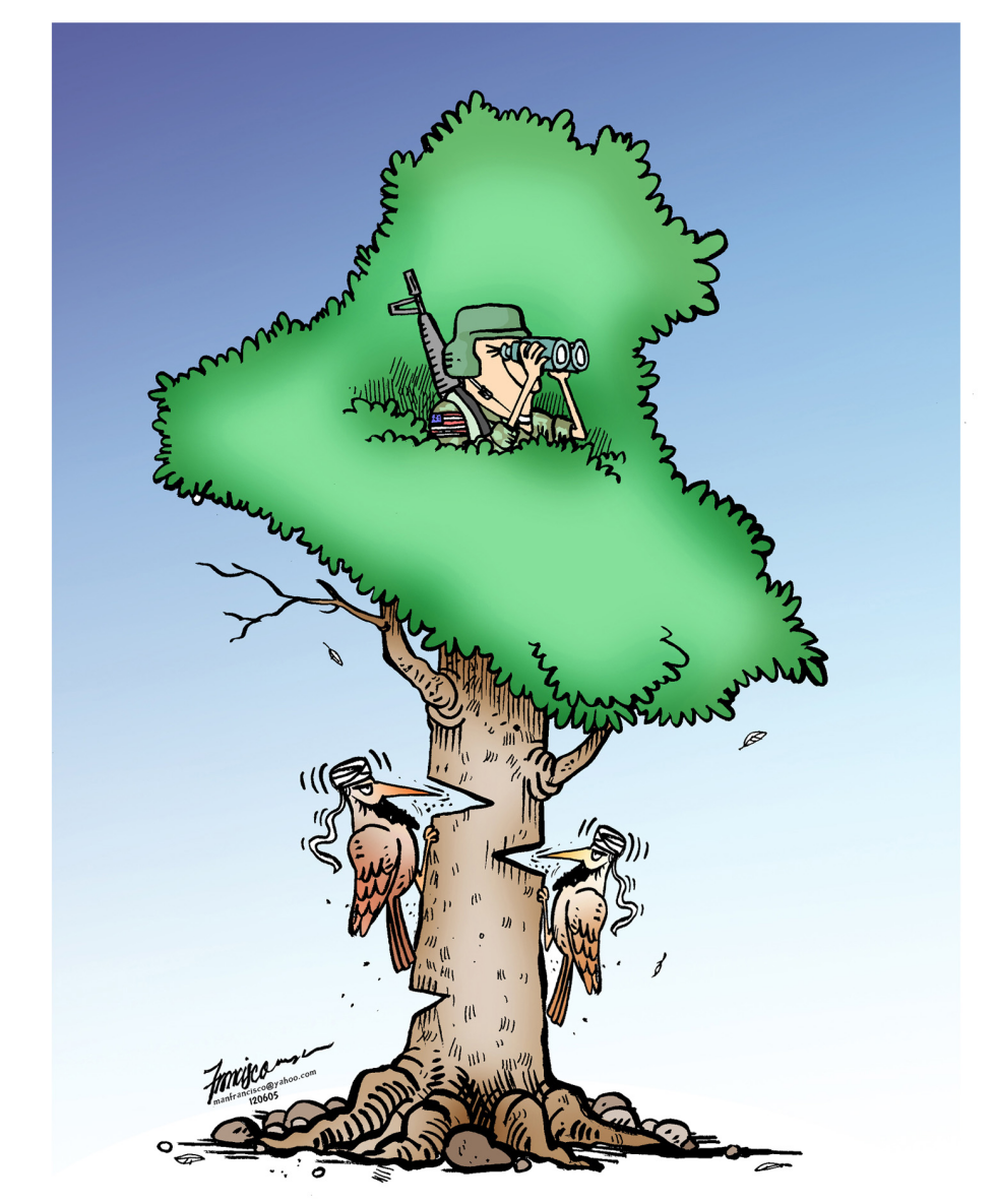 iraq tree