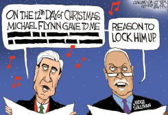 FLYNN SENTENCING HEARING by Jeff Darcy