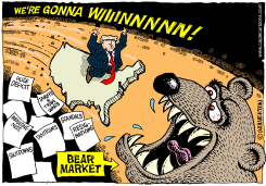 BEAR MARKET by Monte Wolverton