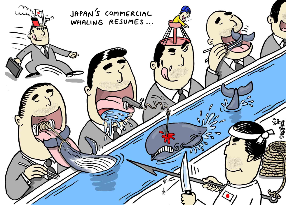  JAPAN 'S WHALE HUNT RESUMES by Stephane Peray