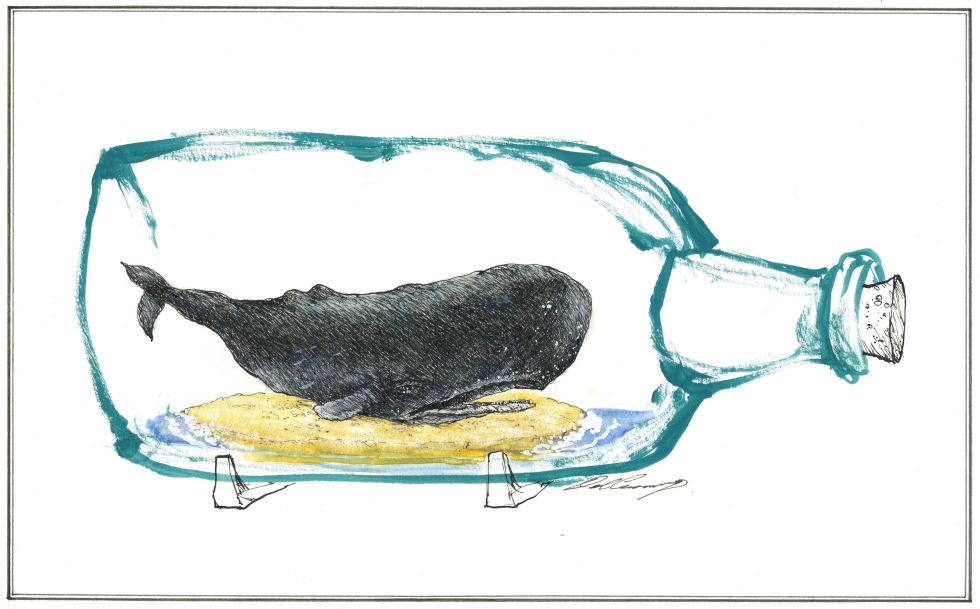 Whale in a Bottle