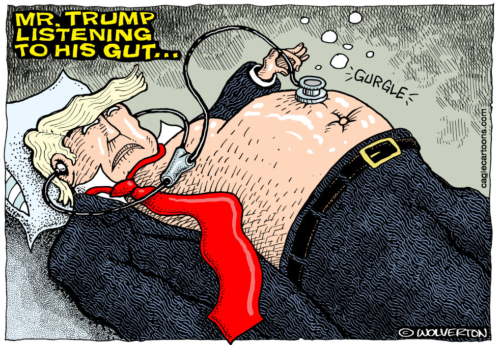 Mr Trump Listening to His Gut