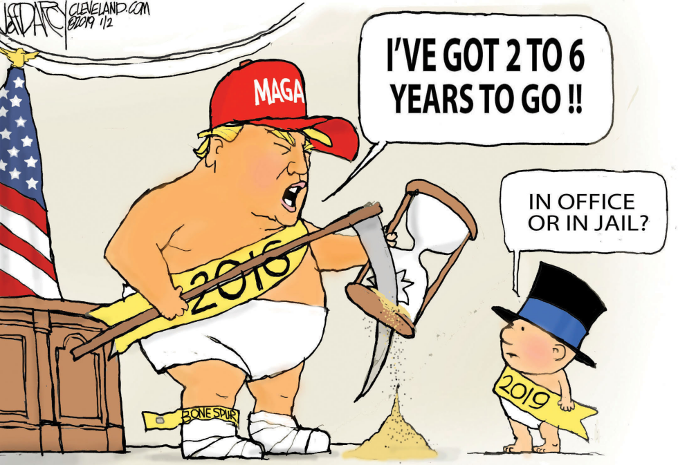 Trump New Year